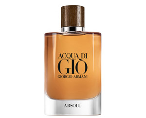 Giorgio Armani Acqua di Gio Absolu